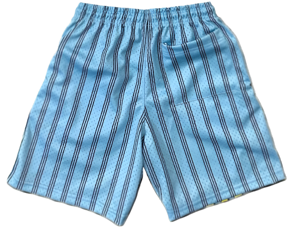 Blue/Yellow YBBroke Shorts